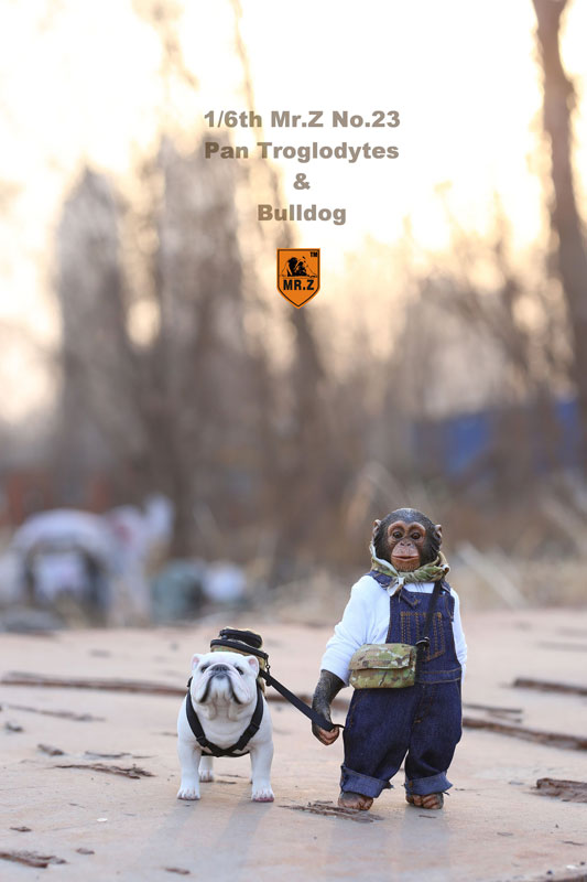 1/6 Chimpanzee & Bulldog Statue