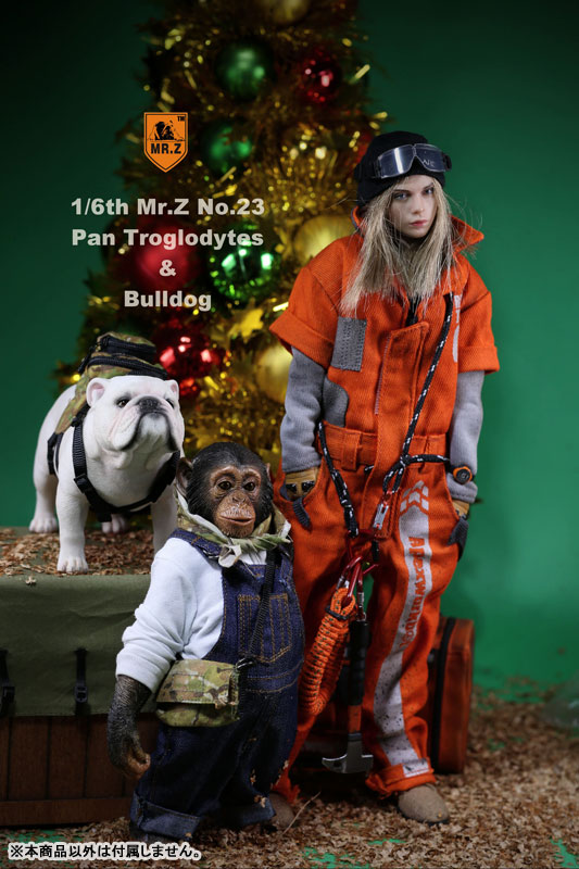 1/6 Chimpanzee & Bulldog Statue