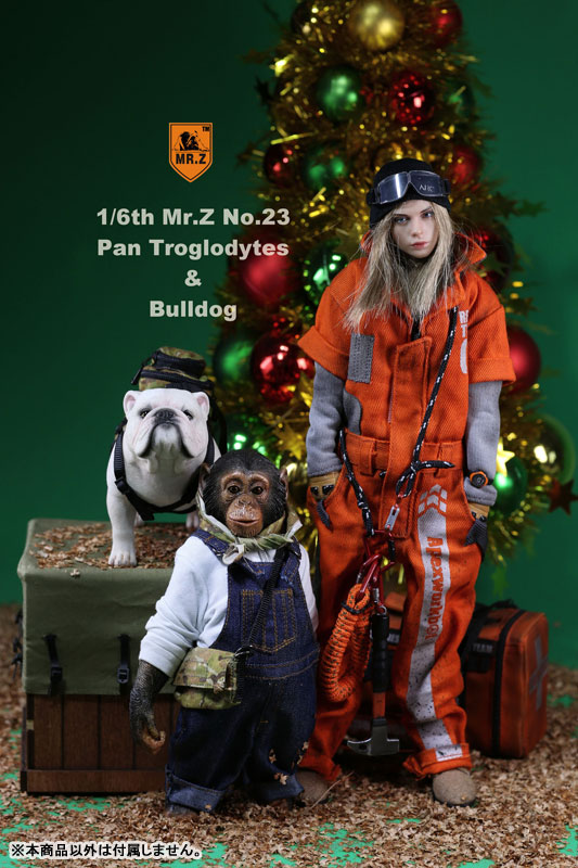 1/6 Chimpanzee & Bulldog Statue