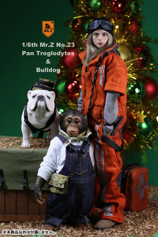 1/6 Chimpanzee & Bulldog Statue