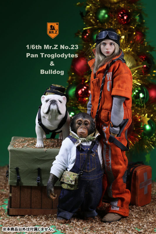 1/6 Chimpanzee & Bulldog Statue