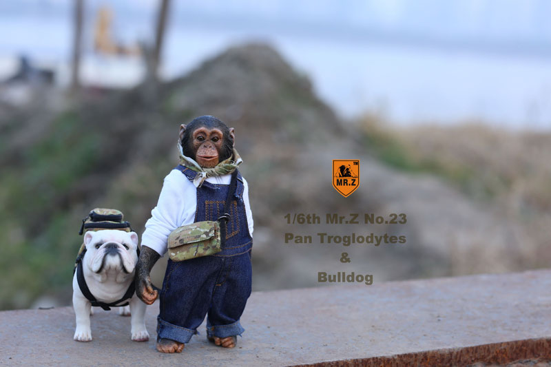 1/6 Chimpanzee & Bulldog Statue