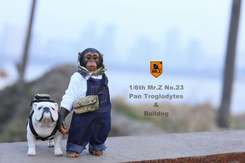 1/6 Chimpanzee & Bulldog Statue