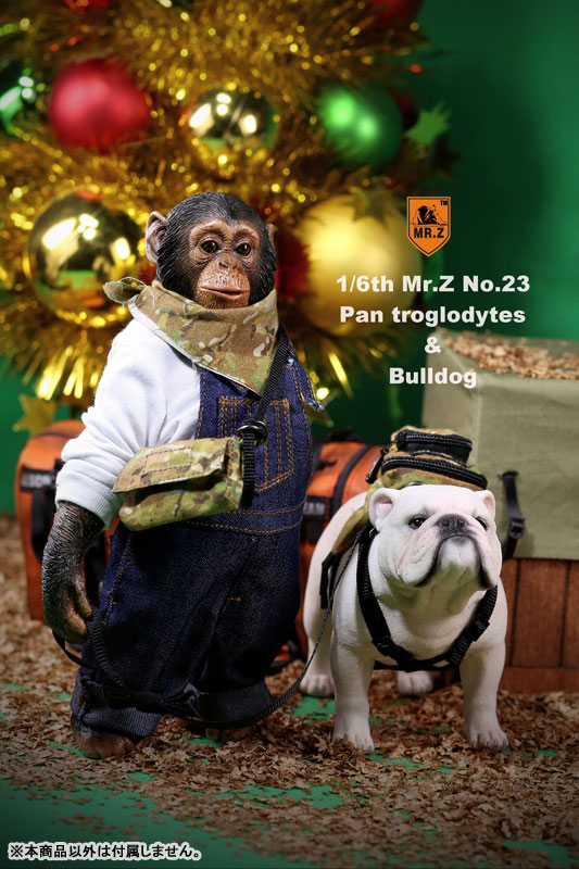 1/6 Chimpanzee & Bulldog Statue