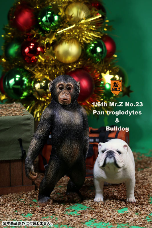 1/6 Chimpanzee & Bulldog Statue