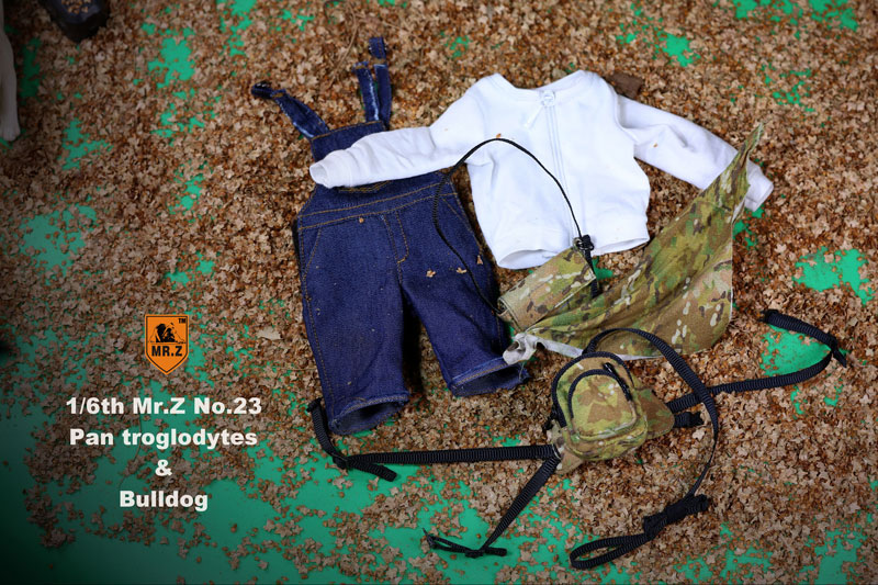 1/6 Chimpanzee & Bulldog Statue