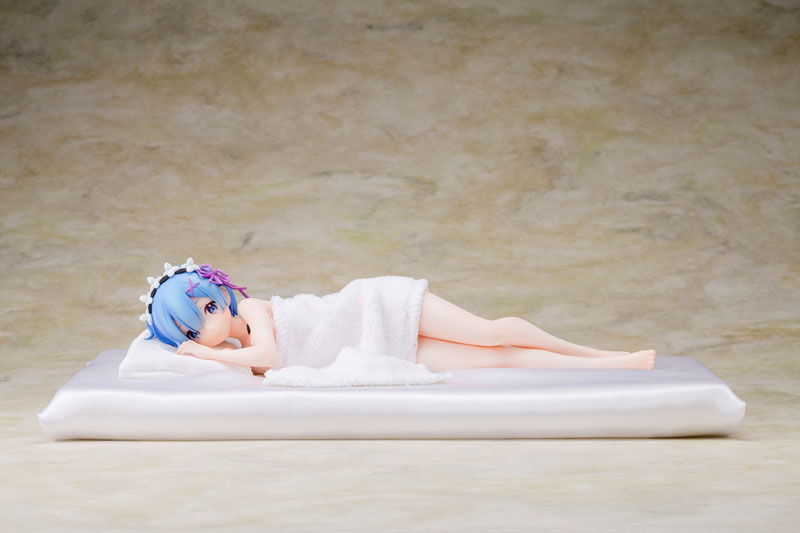 Re:ZERO -Starting Life in Another World- Rem Sleep Sharing Ver.