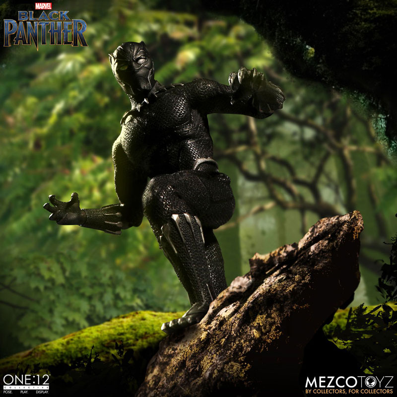 Black Panther: Black Panther