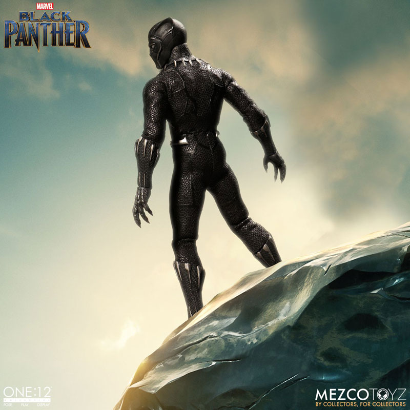 Black Panther: Black Panther