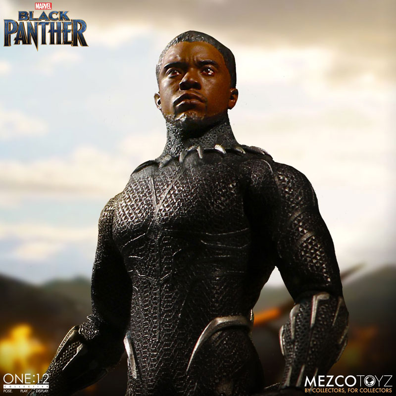 Black Panther: Black Panther