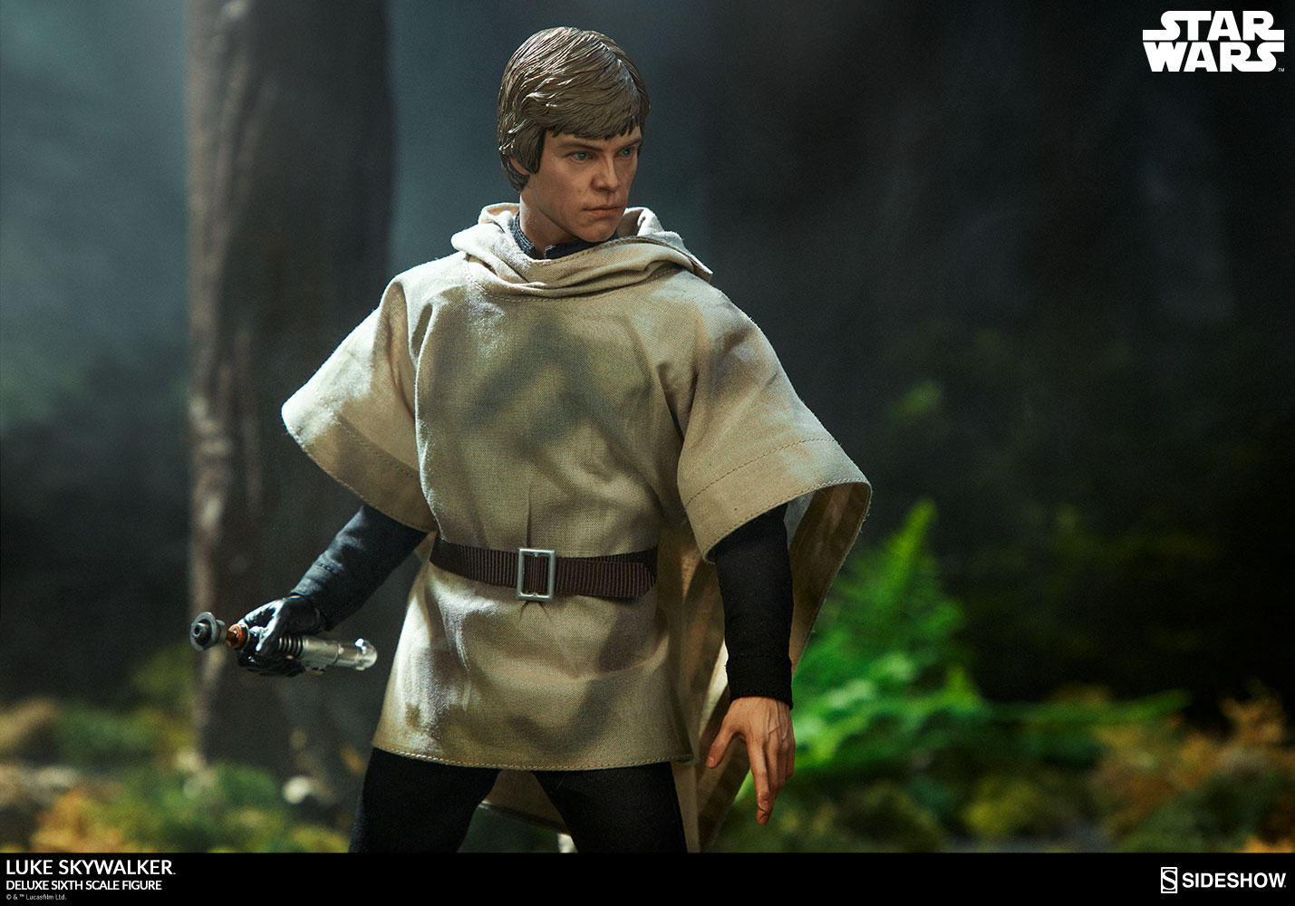 Luke Skywalker Deluxe
