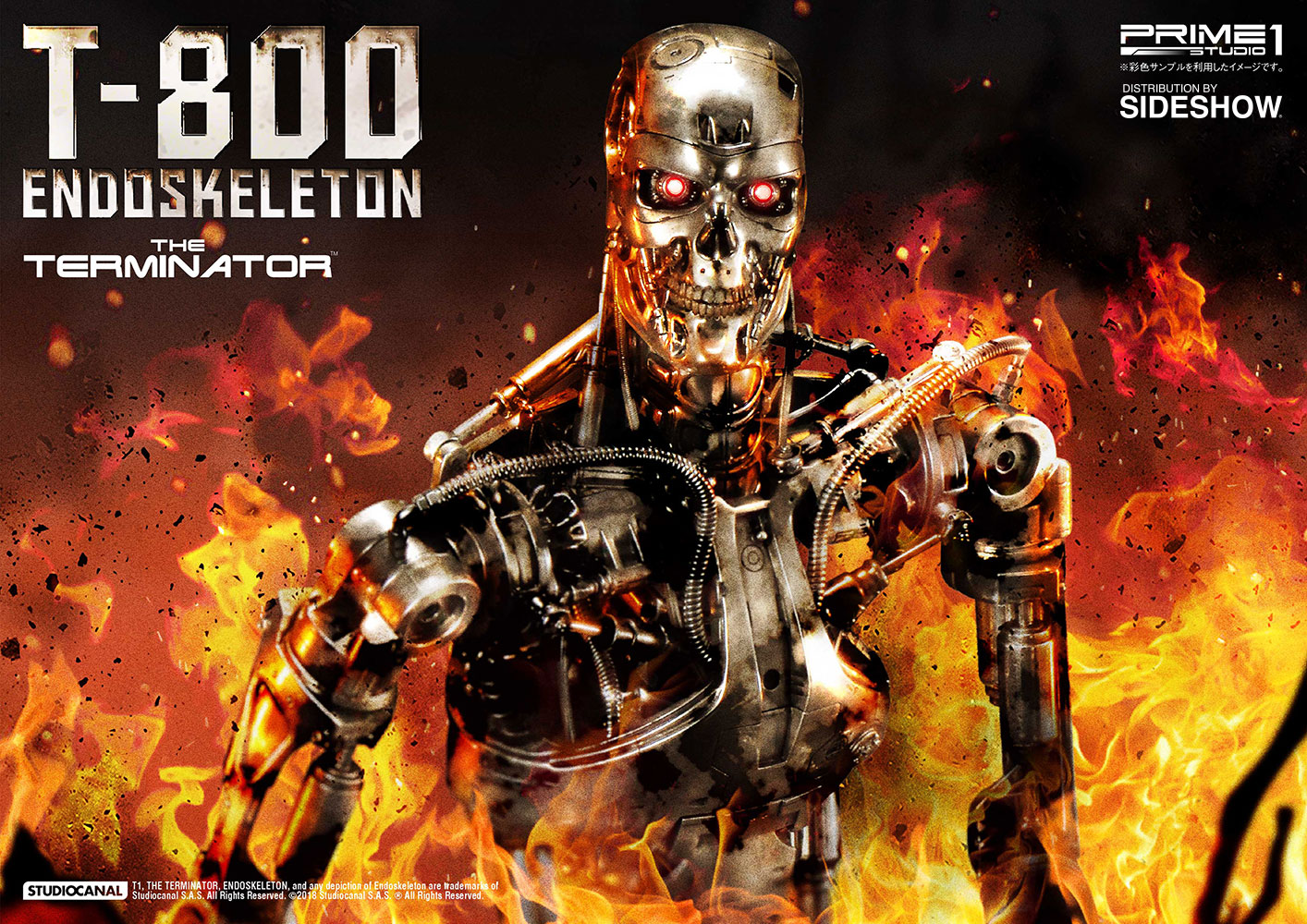 T-800 Endoskeleton (The Terminator)