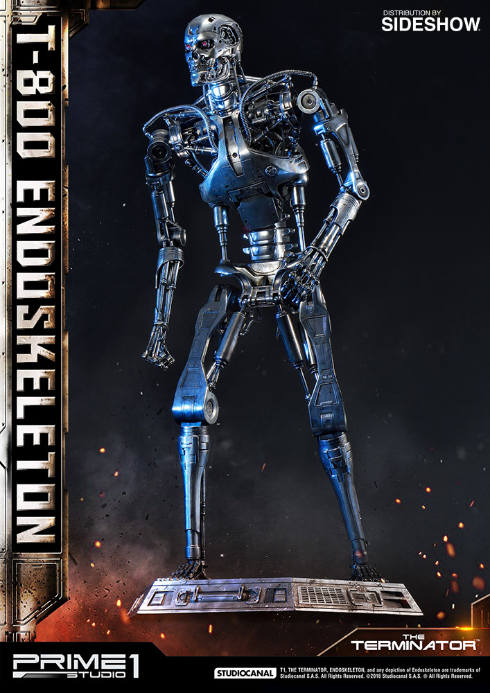 T-800 Endoskeleton (The Terminator)