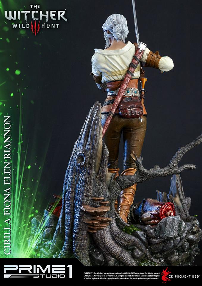 Cirilla Fiona Elen Riannon (The Witcher 3: Wild Hunt)