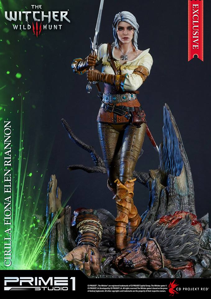 Cirilla Fiona Elen Riannon (The Witcher 3: Wild Hunt)