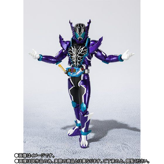 S.H.Figuarts Kamen Rider Rogue