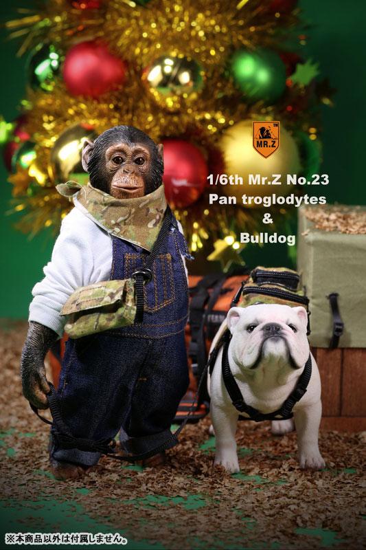 1/6 Chimpanzee & Bulldog Statue