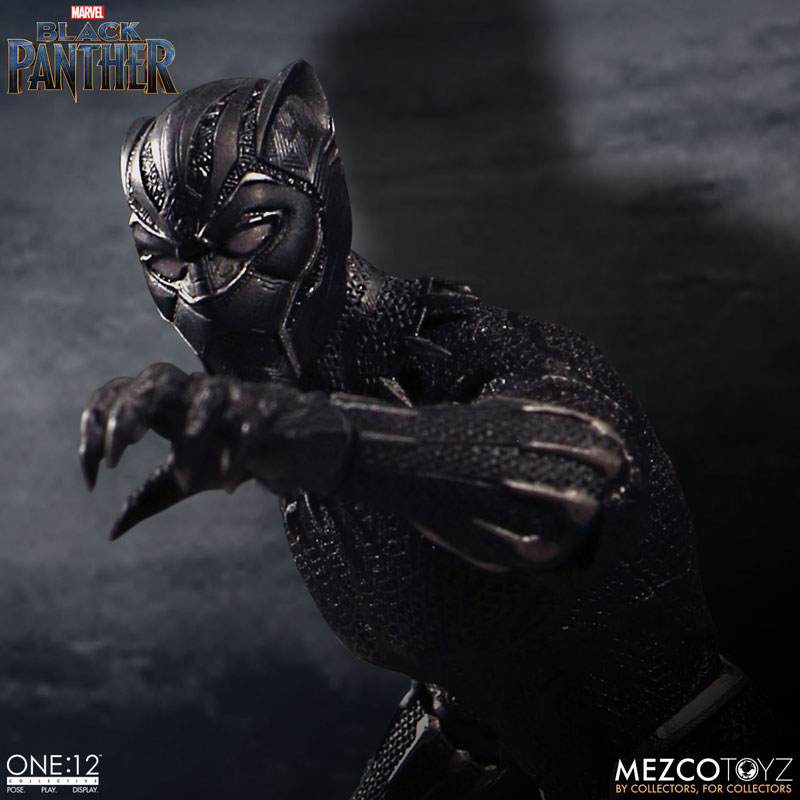 Black Panther: Black Panther
