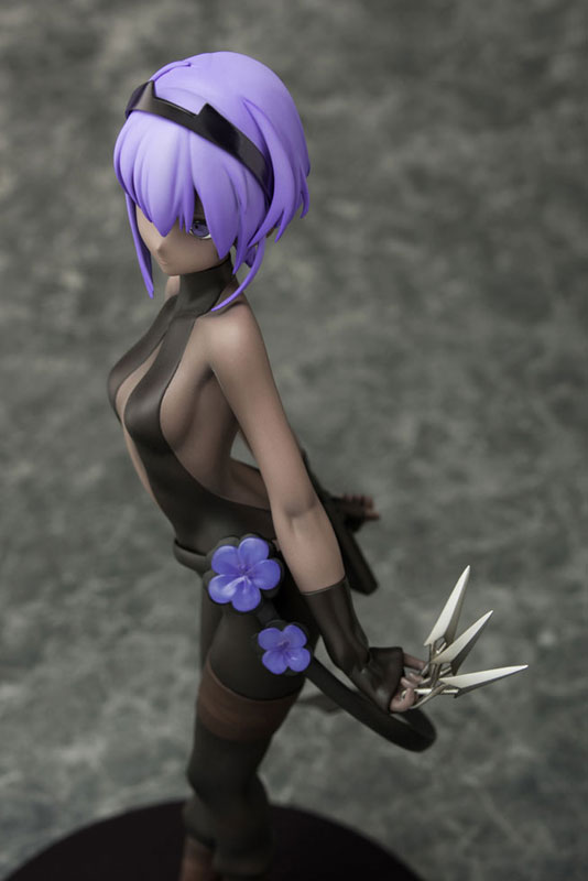 Fate/Grand Order - Assassin/Hassan of Serenity