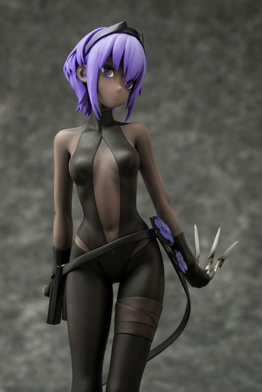 Fate/Grand Order - Assassin/Hassan of Serenity