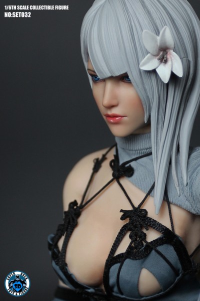 Super Duck - SET032 - 1/6 Scale - Female Cosplay Set