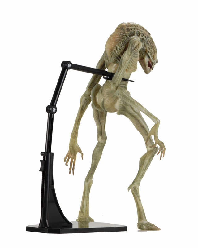 Alien / 7 Inch Action Figure Series: Alien Resurrection Newborn Alien