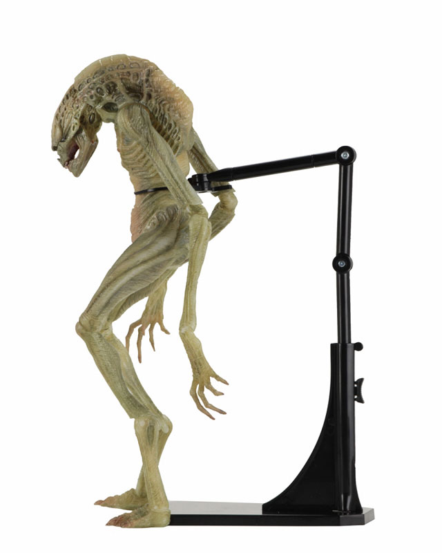 Alien / 7 Inch Action Figure Series: Alien Resurrection Newborn Alien