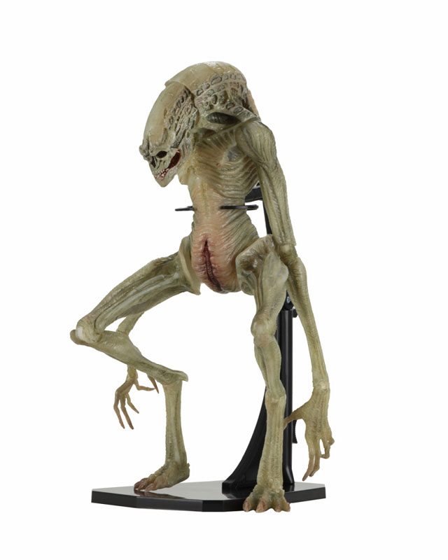 Alien / 7 Inch Action Figure Series: Alien Resurrection Newborn Alien