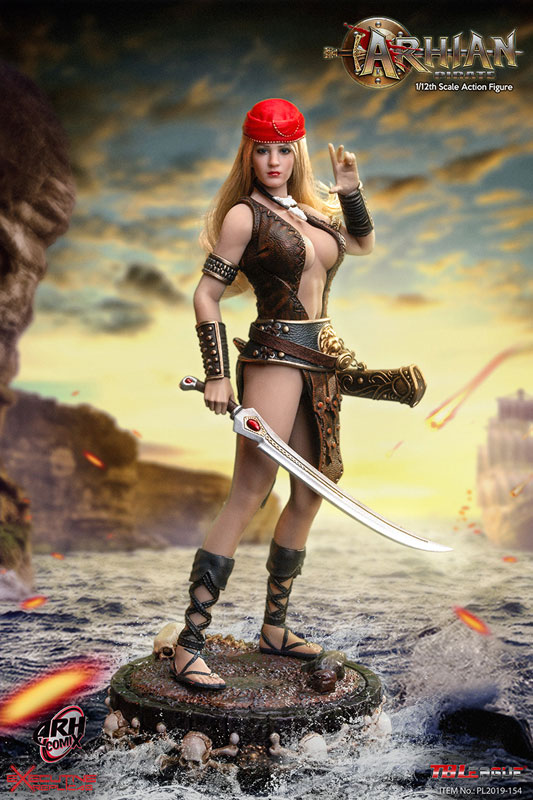 1/12 Action Figure Arhian Pirate (Provisional)