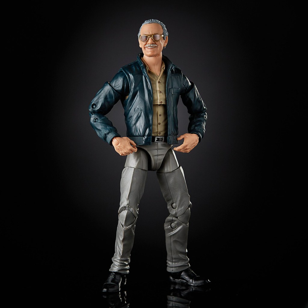 Marvel Legends Series Stan Lee Figure