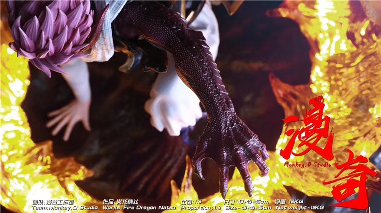 Fire Dragon Natsu