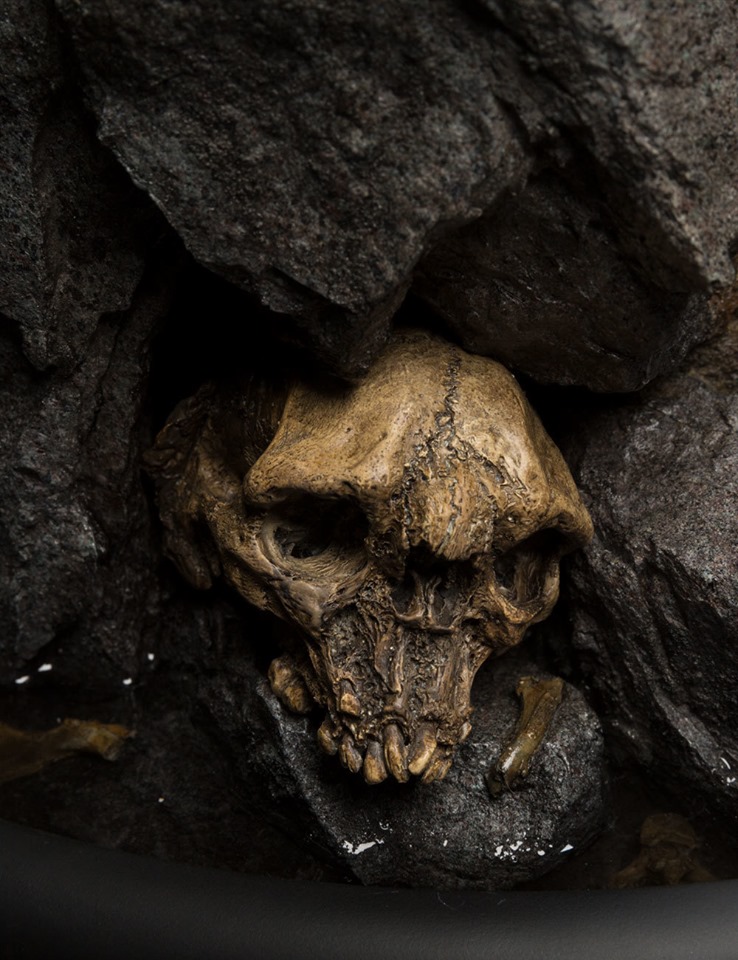 Weta Master Collection : Gollum (The Lords of the Rings)