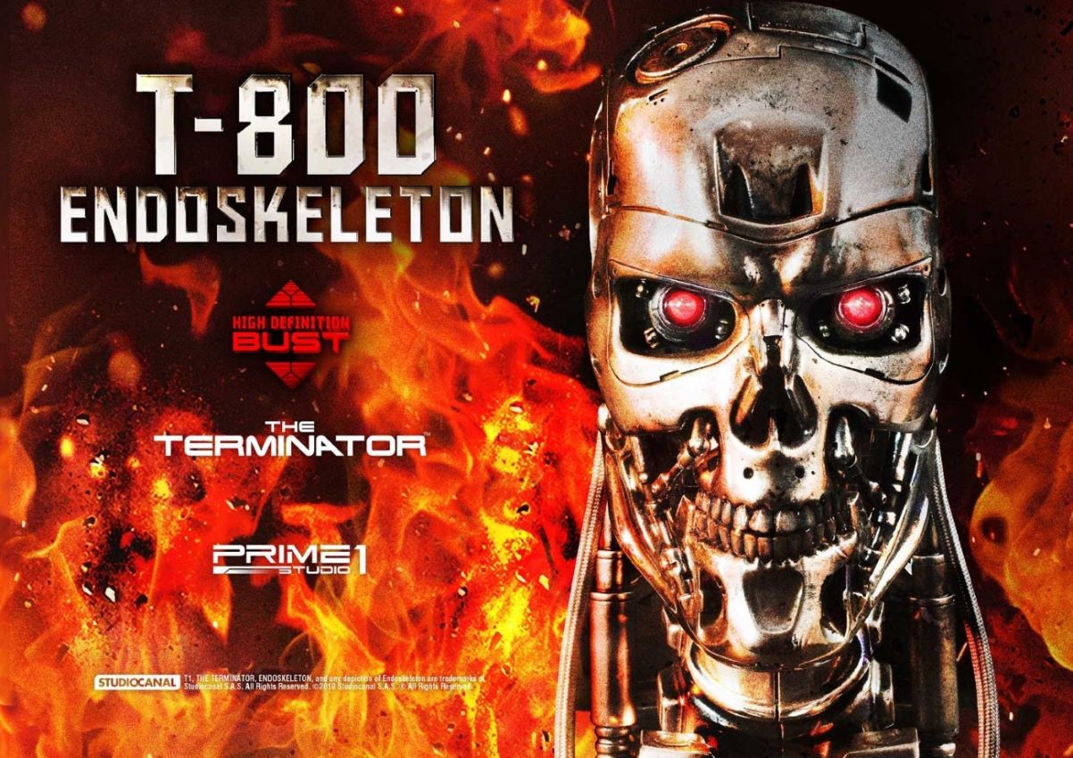T-800 Endoskeleton Head (The Terminator)