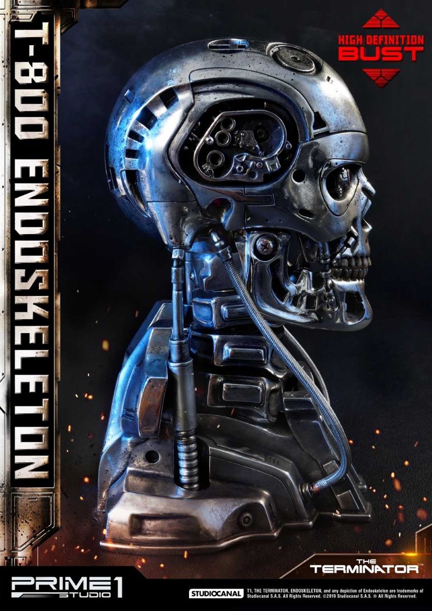 T-800 Endoskeleton Head (The Terminator)