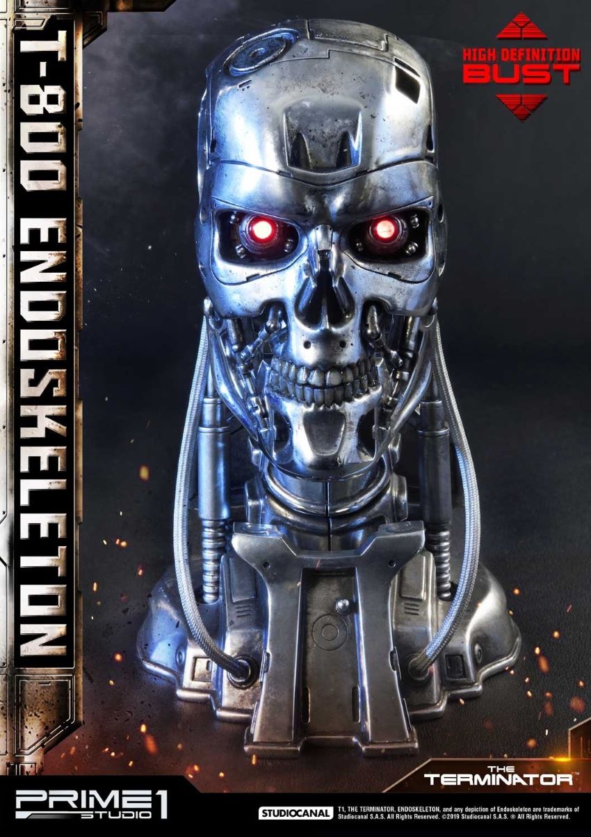 T-800 Endoskeleton Head (The Terminator)