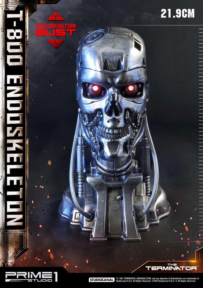 T-800 Endoskeleton Head (The Terminator)