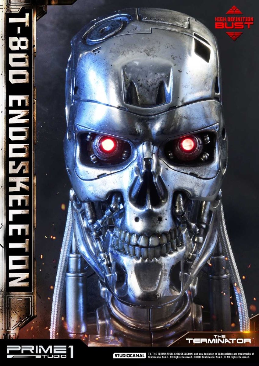 T-800 Endoskeleton Head (The Terminator)