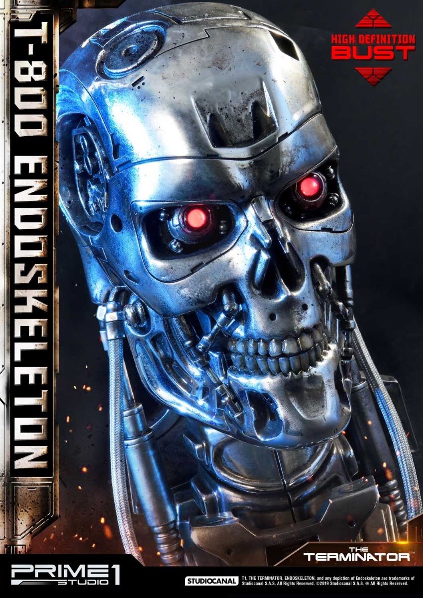 T-800 Endoskeleton Head (The Terminator)