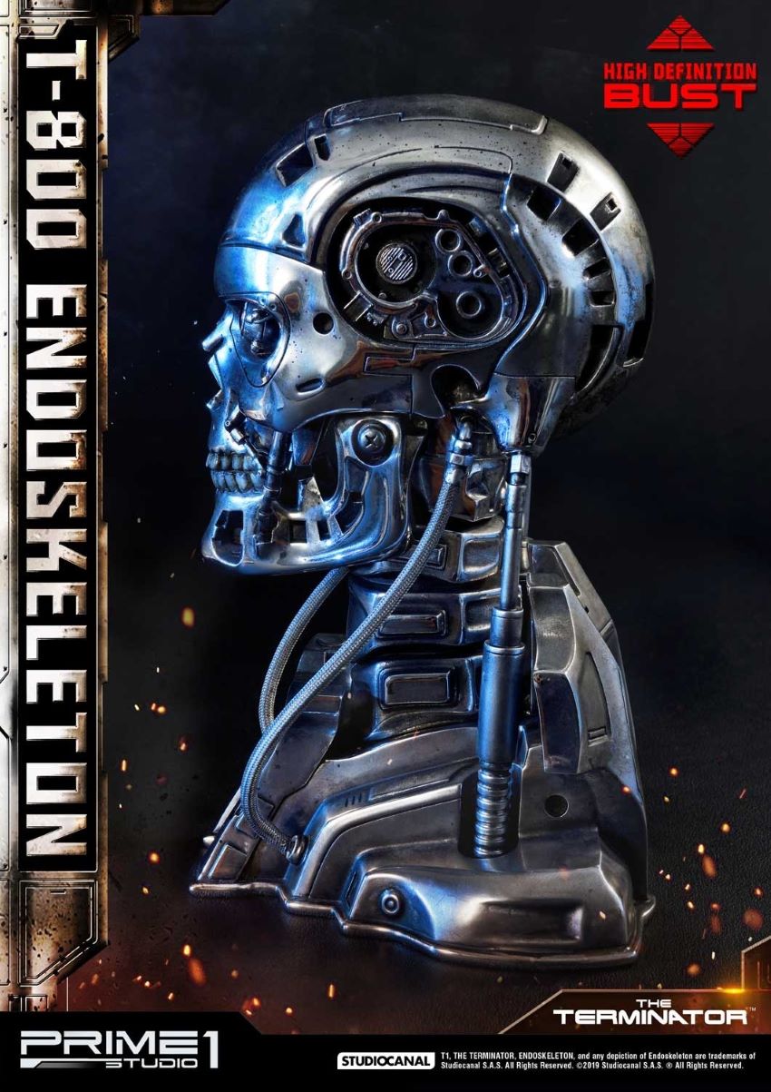 T-800 Endoskeleton Head (The Terminator)