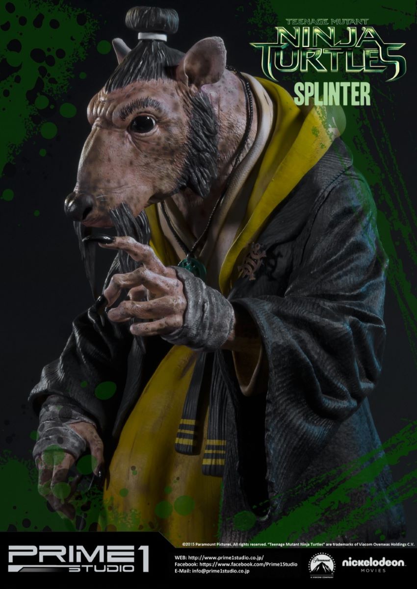 Splinter (Teenage mutant ninja)