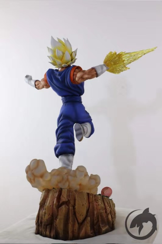 Shark Design - Vegetto