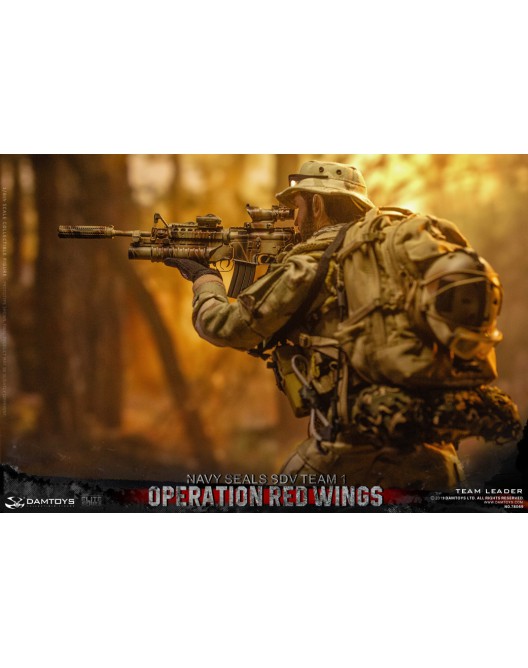 DAMTOYS 1/6 Operation Red Wings -NAVY SEALS SDV TEAM 1 - Team Leader