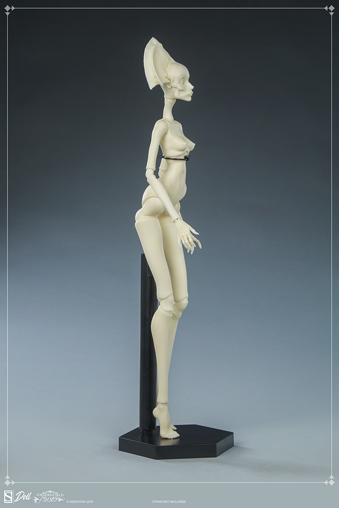 Muse of Bone: Spector Blank