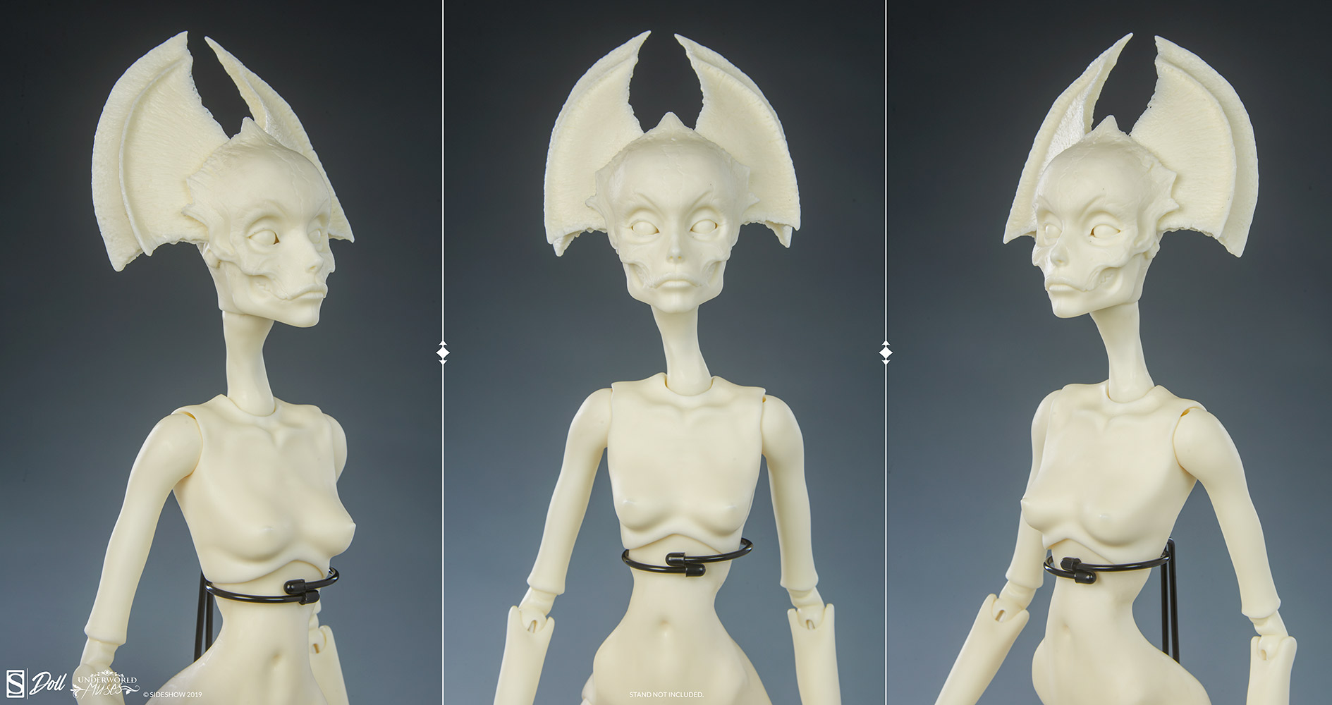 Muse of Bone: Spector Blank
