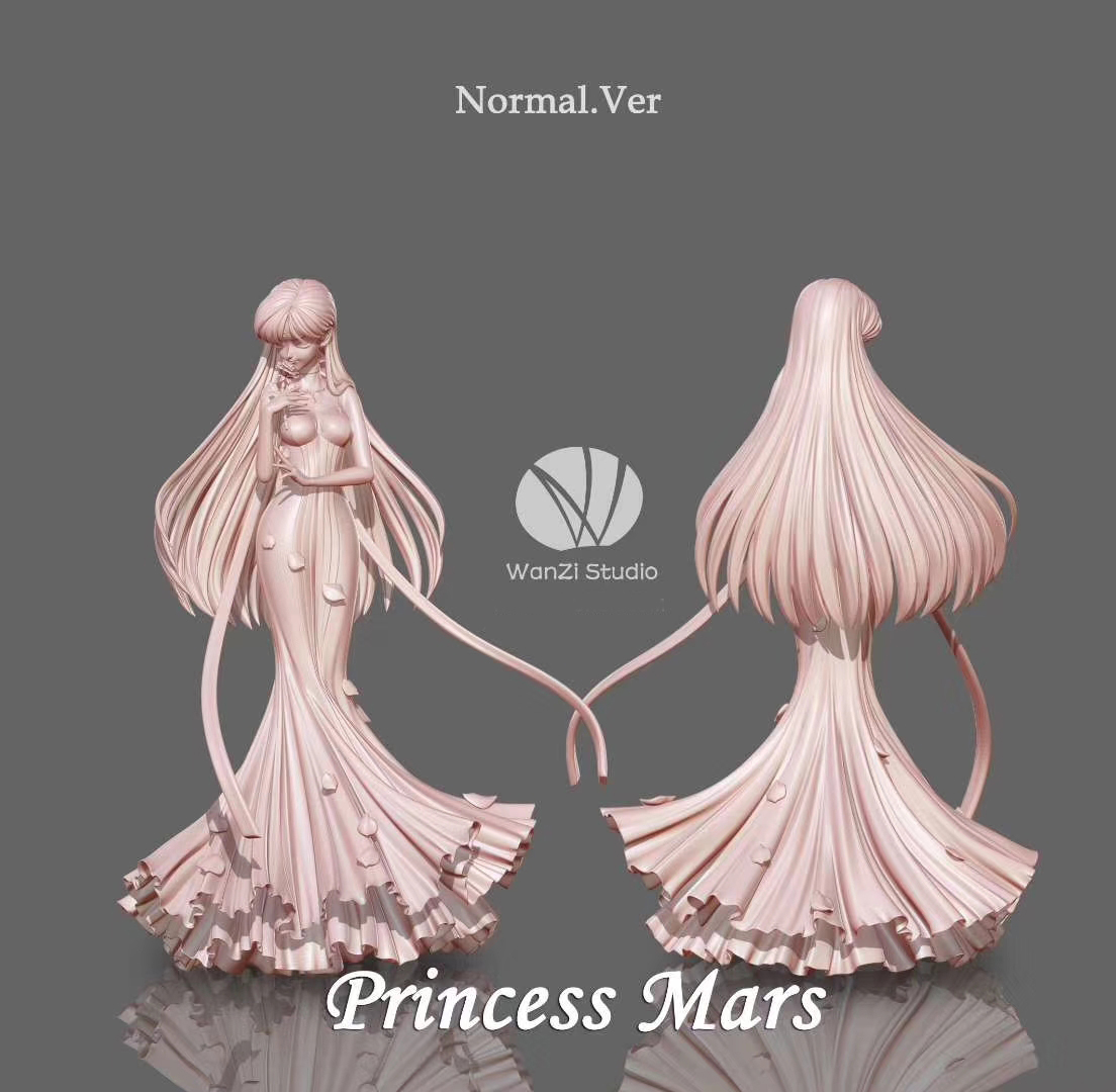 Sailor Moon in Dress (Wanzi Studio)