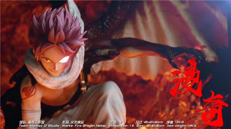 Fire Dragon Natsu