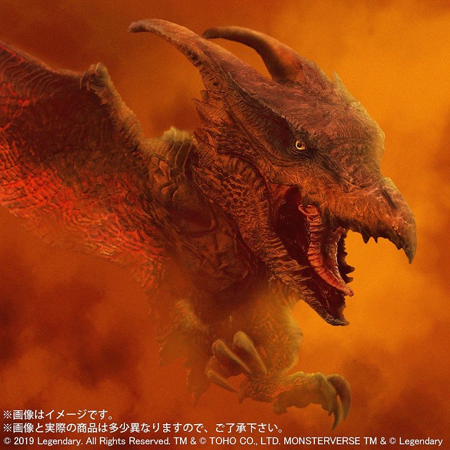 Defoal radon (2019) X-Plus