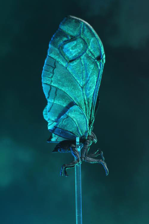 Mothra Poster ver./ Godzilla King Of The Monsters (Neca)