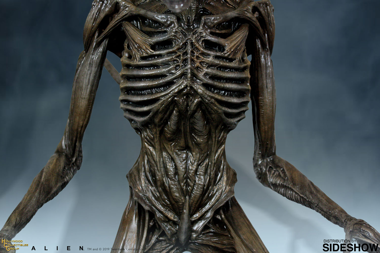 Xenomorph (Hollywood Collectibles Group)