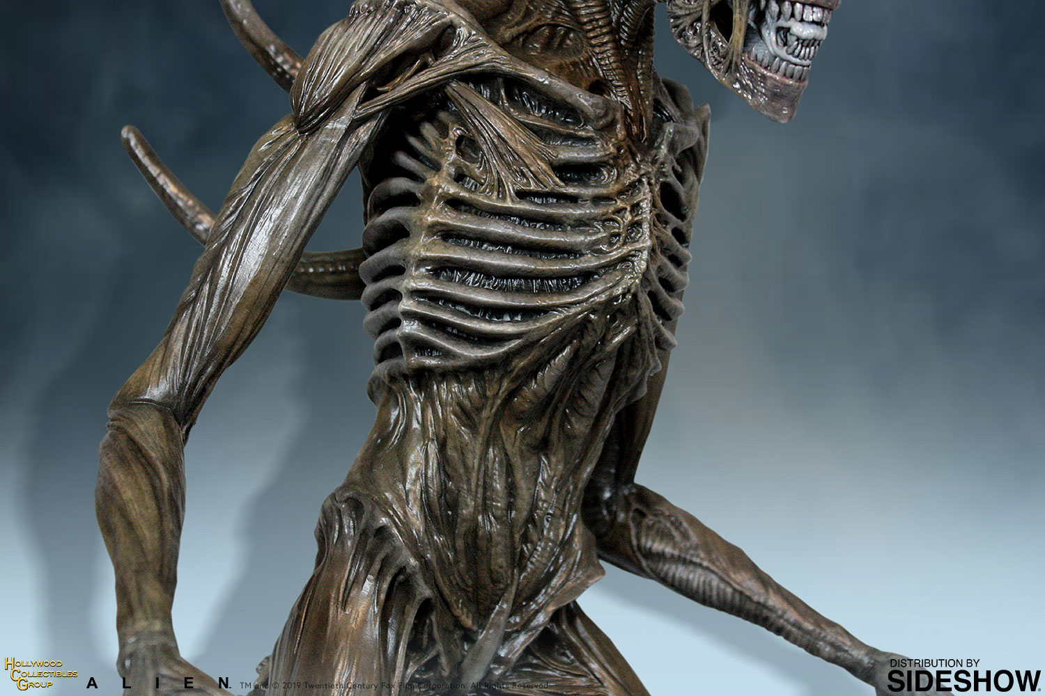 Xenomorph (Hollywood Collectibles Group)